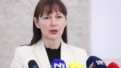  Vesna Vučemilović