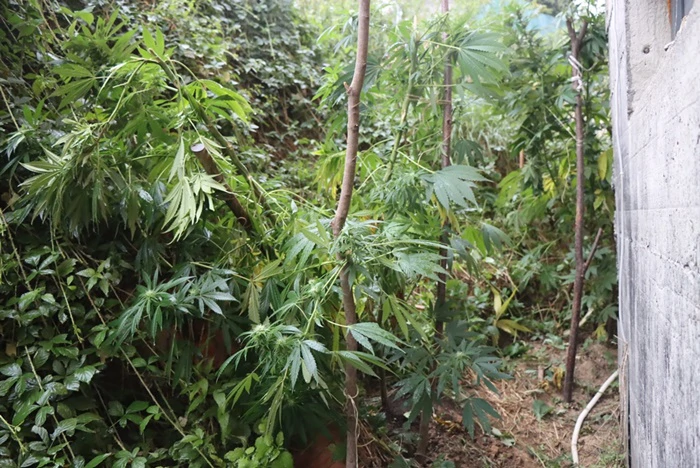 Pronađena veća količina droga i oružje