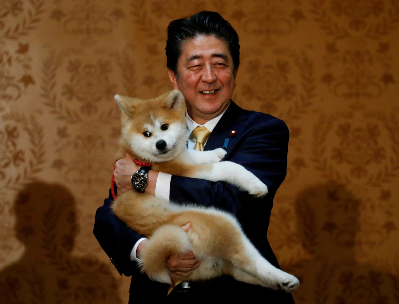 Shinzo Abe