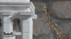 U Jezerima na otoku Murteru od maslinova se lišća pletu posebne grančice