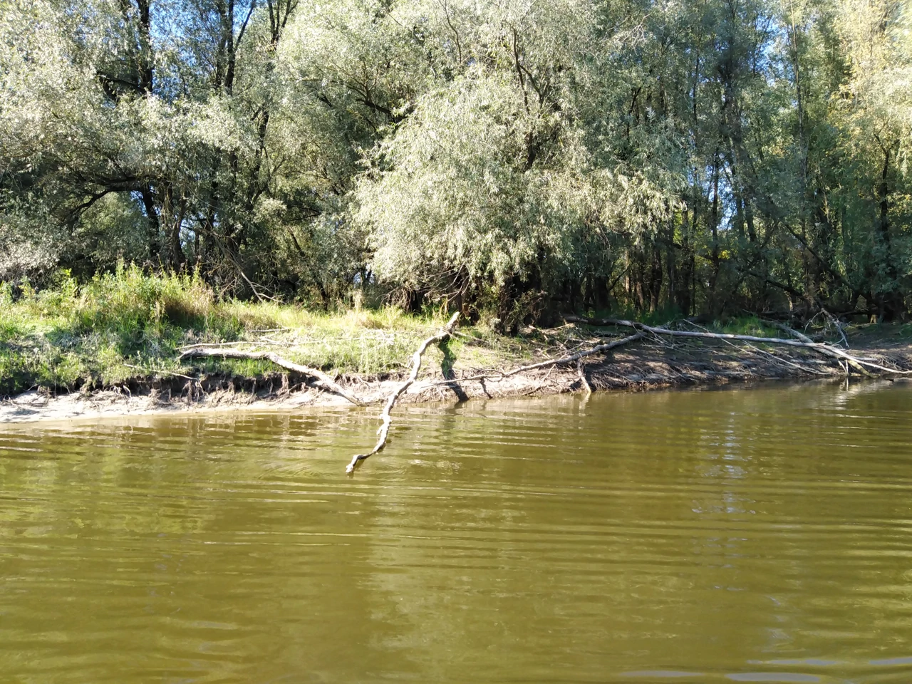 Kopački rit, Foto: Vjekoslav Madunić/osobna arhiva