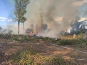 Novi požar u Kopačkom ritu, Foto: Vatrogasci Bilje/-