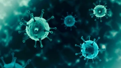 U Sloveniji trend popuštanja epidemije