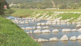 Revitalizacija Mirne - riblje staze