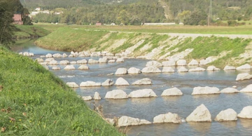 Revitalizacija Mirne - riblje staze