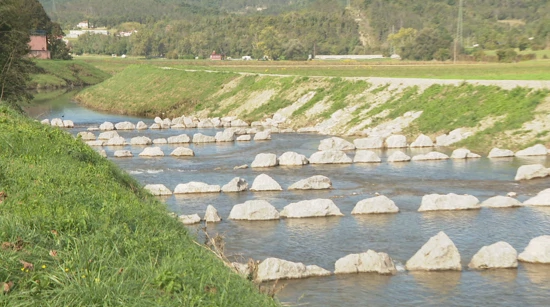 Revitalizacija Mirne - riblje staze