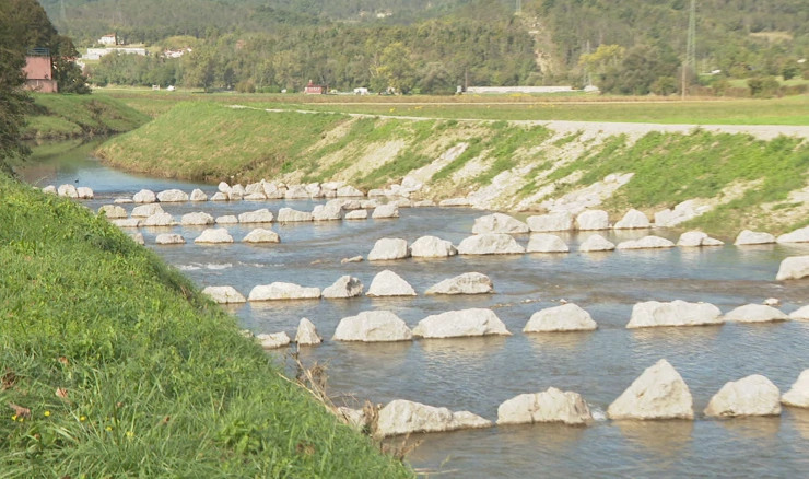 Revitalizacija Mirne - riblje staze