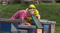 Pčelari na dežurstvu