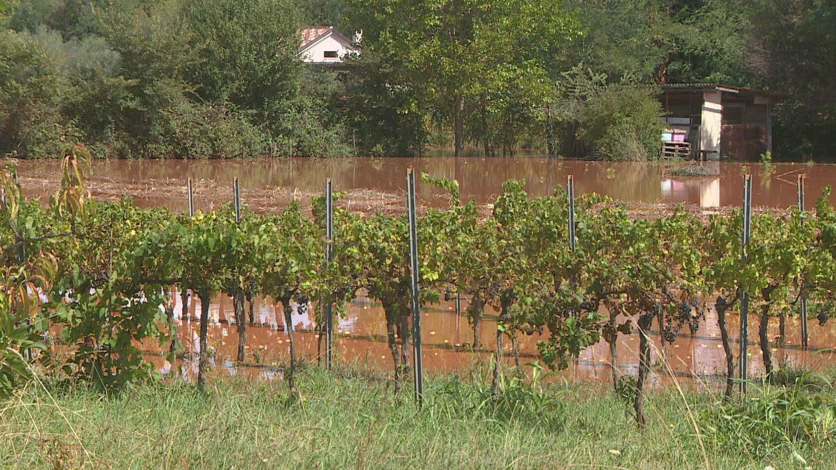istra opet kisatransfer frame 708 20250903154938