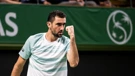 Marin Čilić