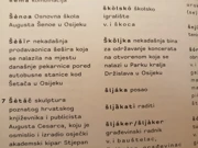 „Osječki gradski govor. Jezične dumine Osječana” , Foto: TM/Radio Osijek