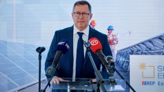 Vice Oršulić