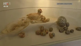 Izložba "Pisanice - splet hrvatskih i ruskih tradicija"
