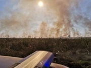 Požar u Kopačkom ritu, Foto: Čitatelj portala osijekexpress.com/-