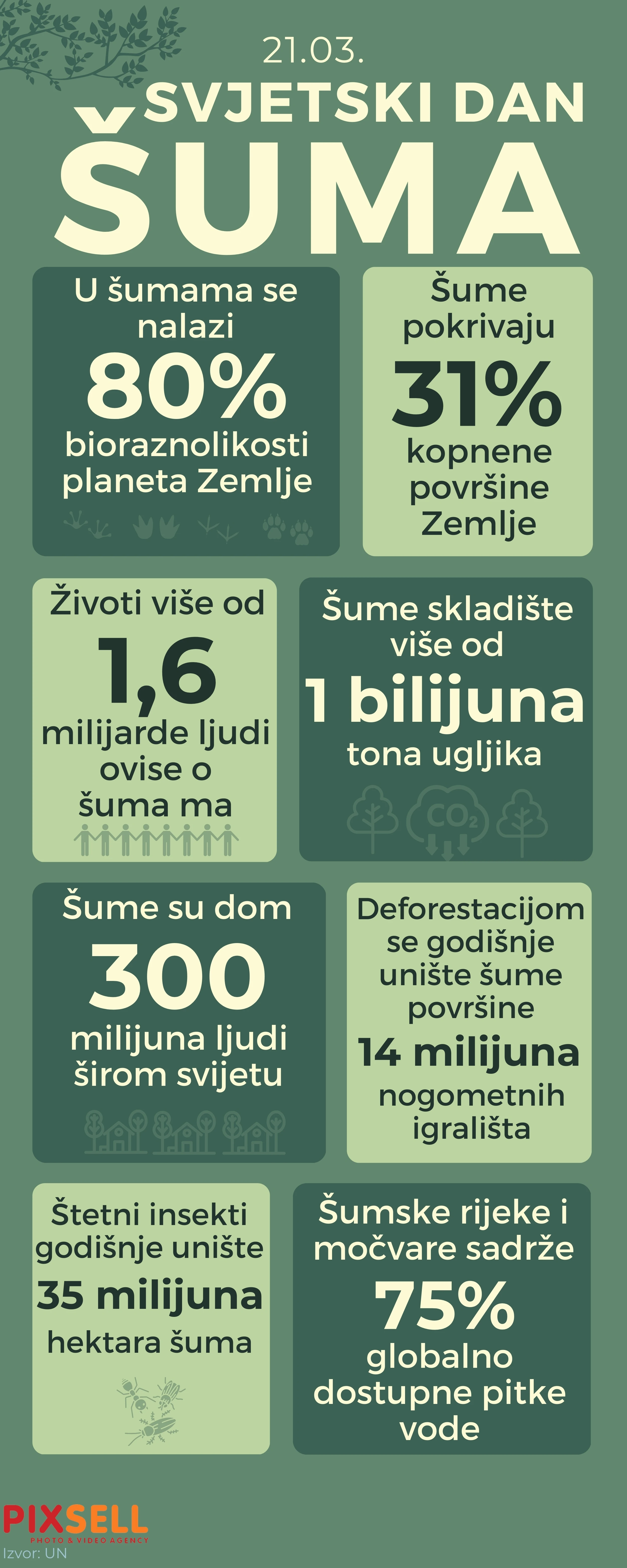 Infografika: Svjetski dan šuma