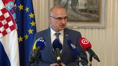 Gordan Grlić Radman