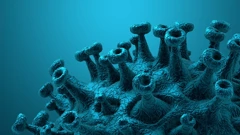 Koronavirus, ilustracija 