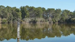 Močvarna uvala Saline