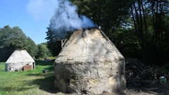 Ugljenice 