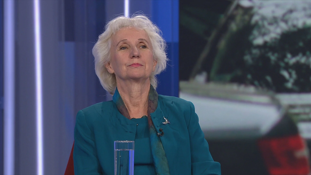Lana Peto Kujundžić, predsjednica Udruge obiteljskih sudaca, Foto: HTV/HRT