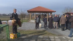 Javna dražba domaćih životinja