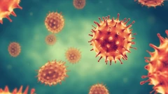 Koronavirus - ilustracija