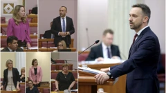 Rasprava o zakonu o osobnoj asistenciji