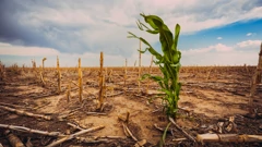 Posljedice klimatskih promjena, Foto: Scott Book/Shutterstock