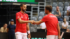 Mate Pavić, Nikola Mektić