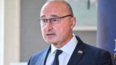Gordan Grlić Radman