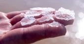 Berba cvijeta soli