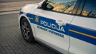 Policijsko vozilo 