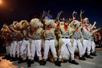 Zametski zvončari, Foto: Damir Skomrlj/CROPIX