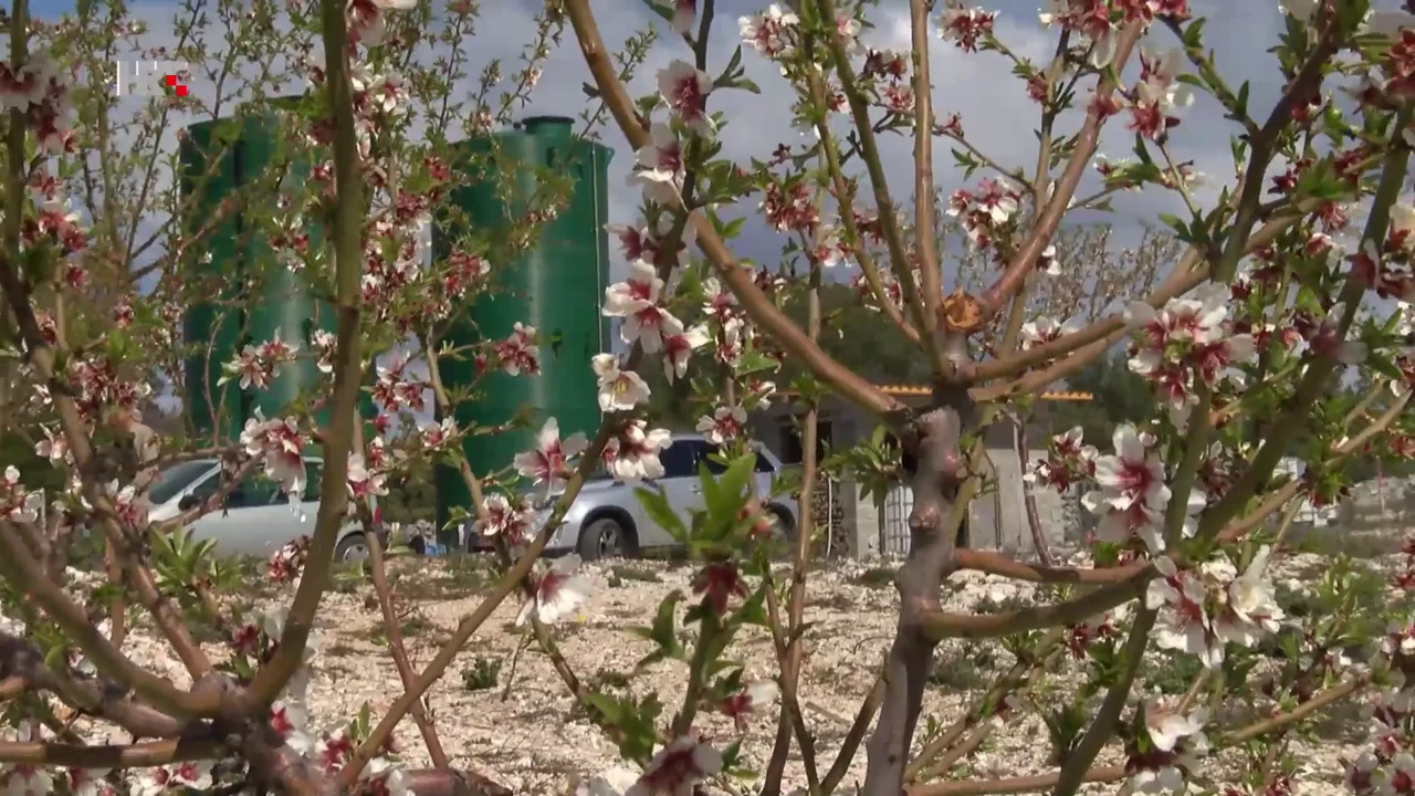Tankovi za vodu na plantaži badema, Foto: Plodovi zemlje/HTV/HRT