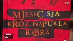 "Mjesec sja kroz napukla rebra"