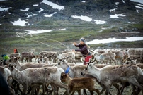 Ponedjeljak, 23. ožujka na Drugom, Foto: Rebecka Martinsson: U potrazi za pravdom/2. sezona serije