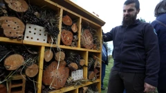 Hotel za pčele i druge kukce