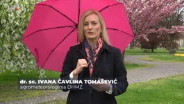 Ivana Čavlina Tomašević
