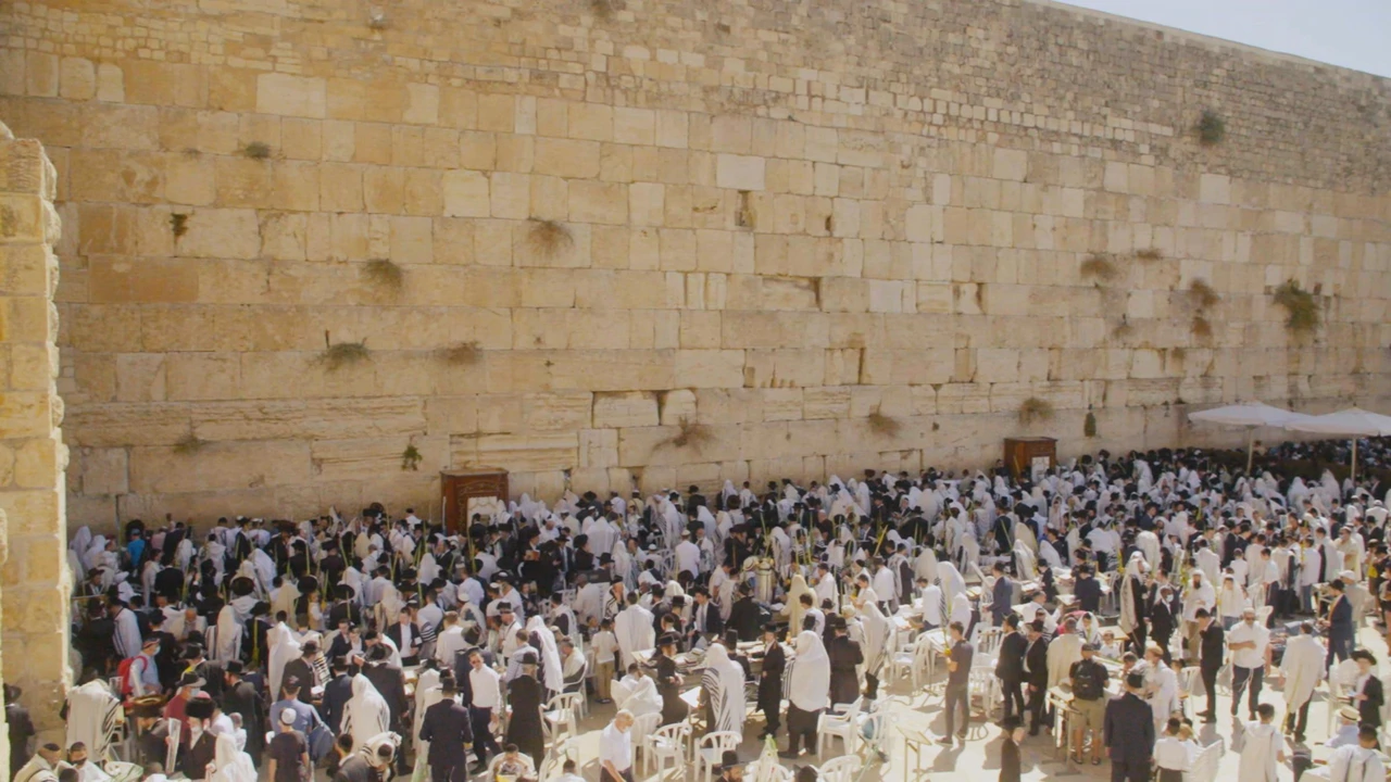 Srijeda, 11. studenoga na Trećem