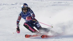 Zrinka Ljutić