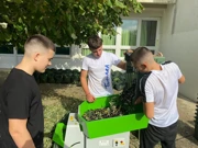 Učenici u berbi u školskom masliniku, Foto: OŠ Bartula Kašića/Radio Zadar