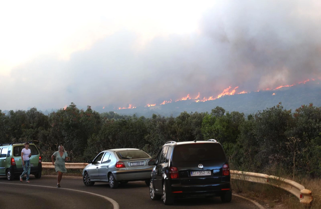 Veliki požar kod Zatona, Foto:  Dusko Jaramaz /PIXSELL