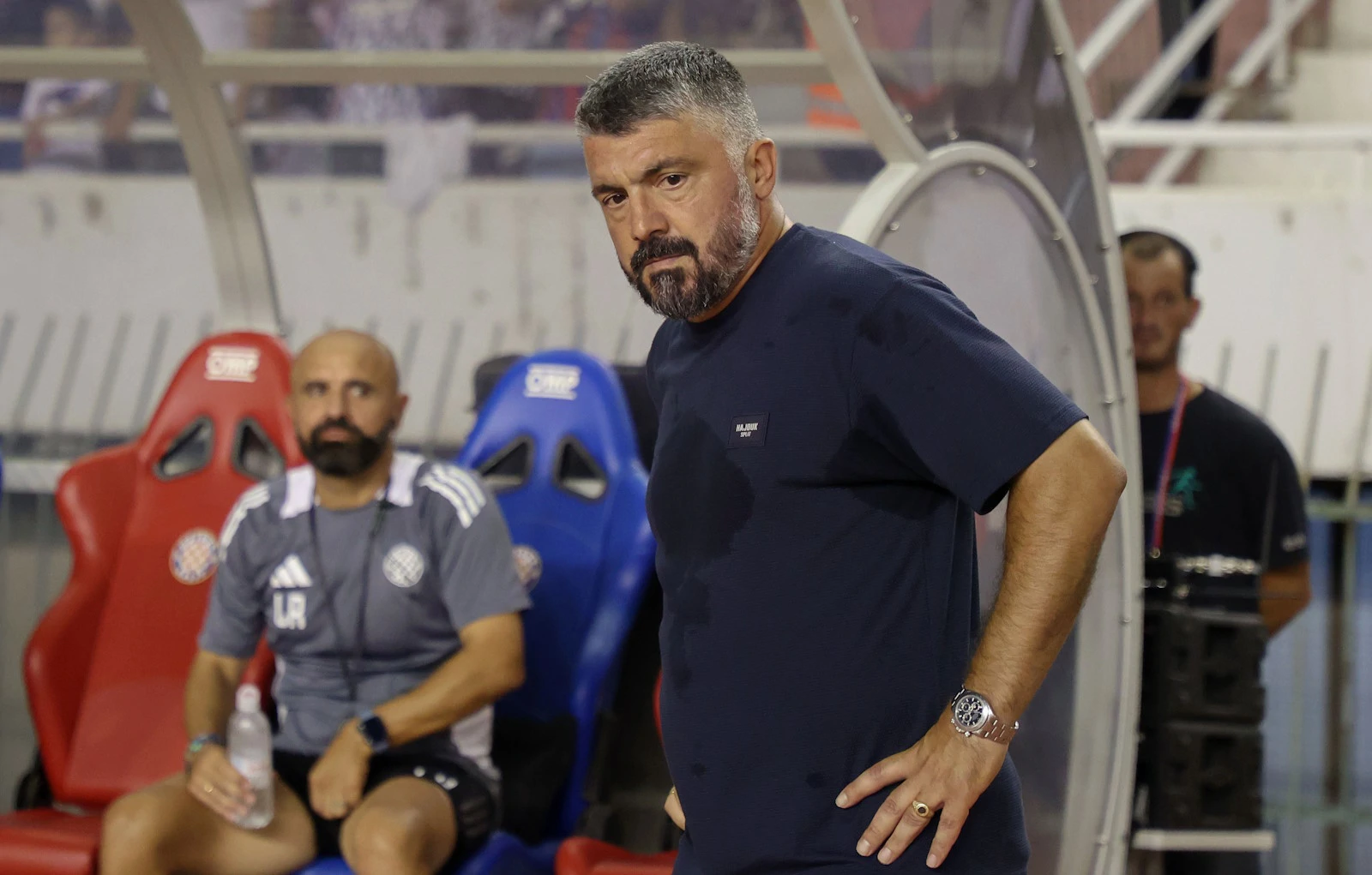 gennaro g 20240815213115