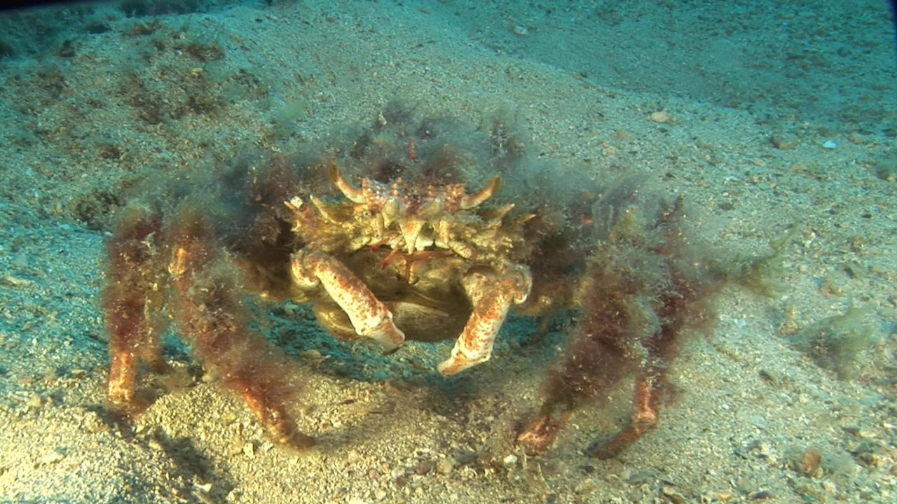 Utorak, 17. kolovoza na Drugom  