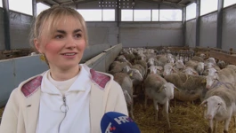 Dubravka Asić