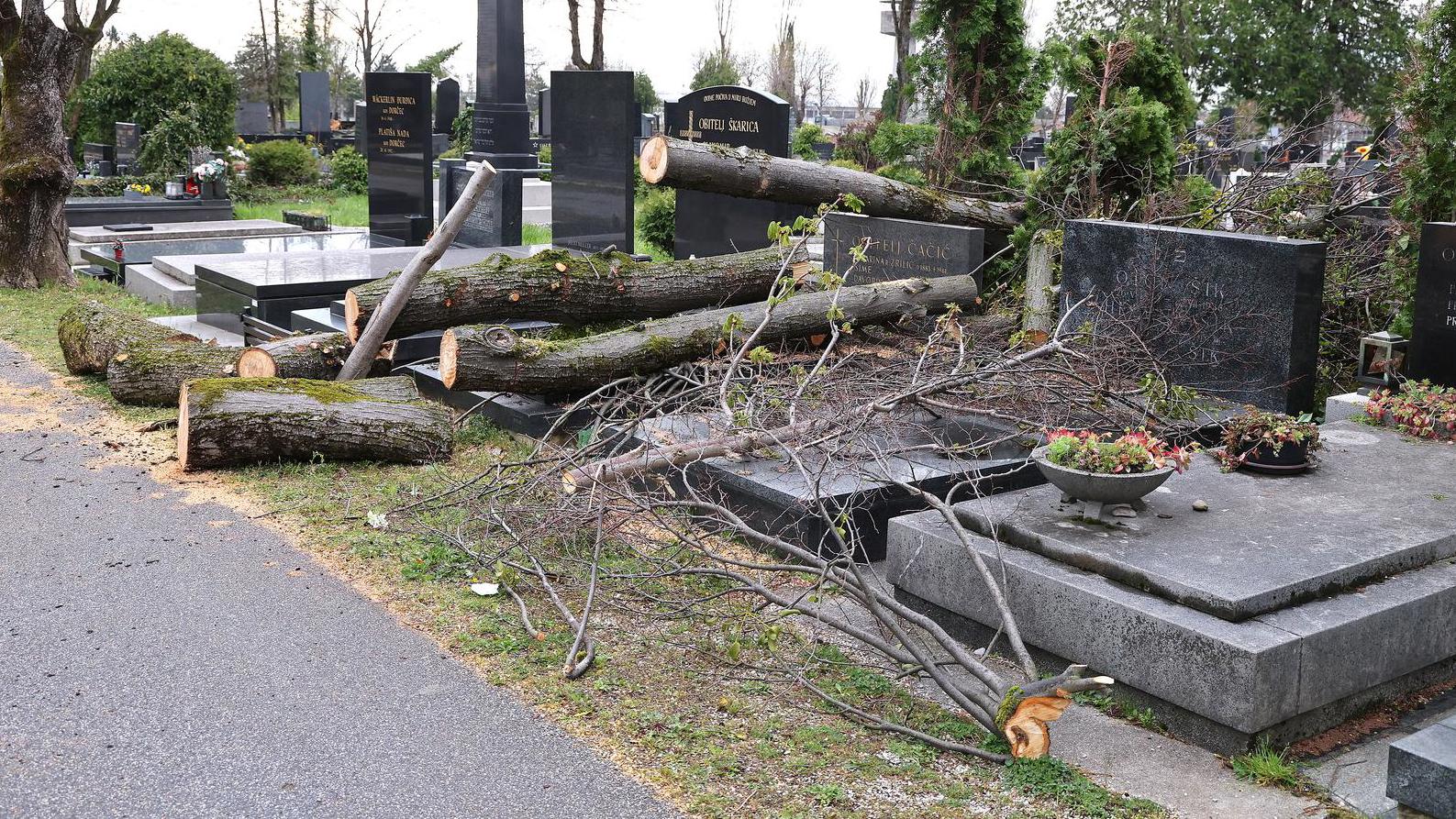 Opposition: Unzureichende Hilfe für die Restaurierung von Gräberstätten in Mirogoj 6 pxl 310326 149337521 20260410151425