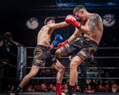 Golden Fight, Foto: Golden Fight/-