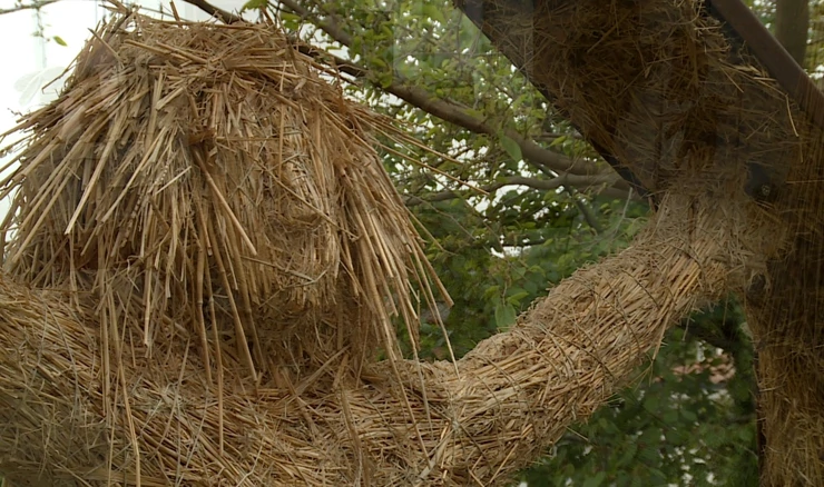 Skulpture od slame