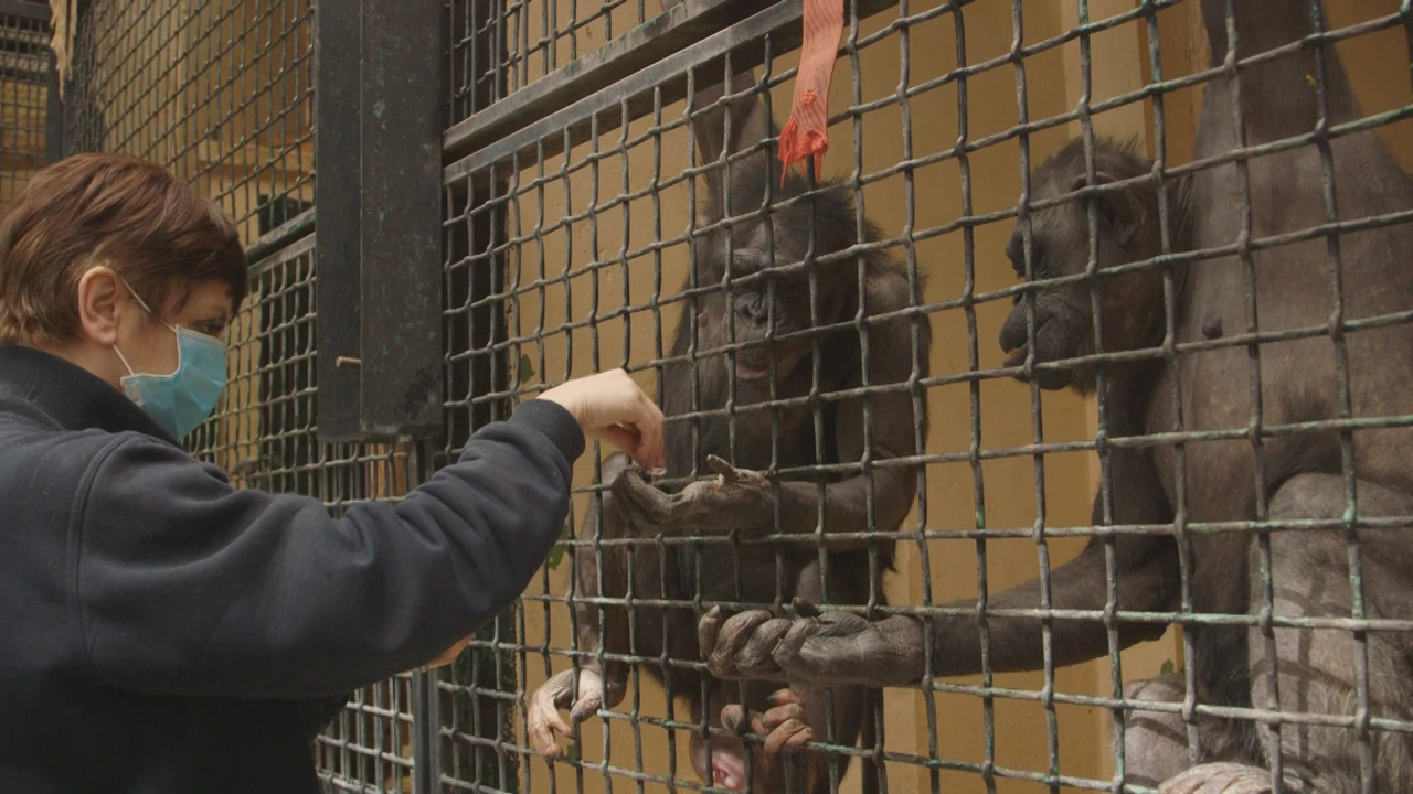 Subota, 28. ožujka na Prvom, Foto: Divlja ZOOna/dokumentarna serija