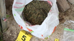 Zapljenjena droga